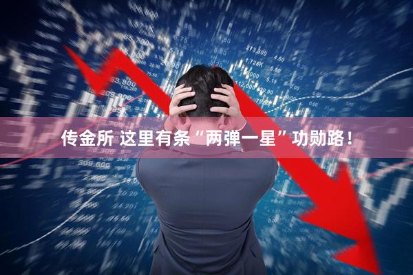 传金所 这里有条“两弹一星”功勋路！