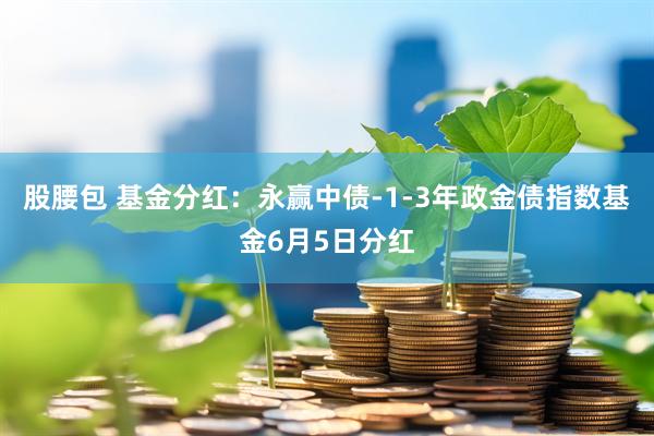 股腰包 基金分红：永赢中债-1-3年政金债指数基金6月5日分红