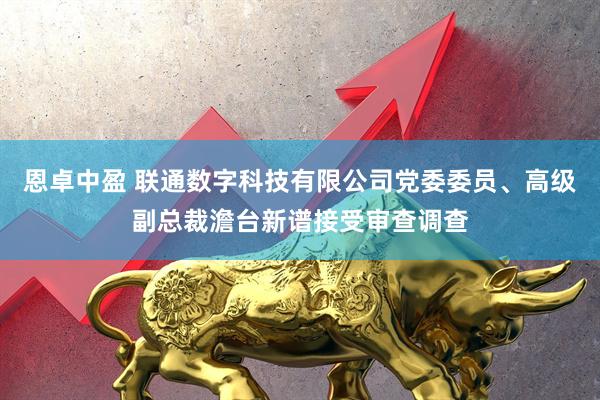 恩卓中盈 联通数字科技有限公司党委委员、高级副总裁澹台新谱接受审查调查