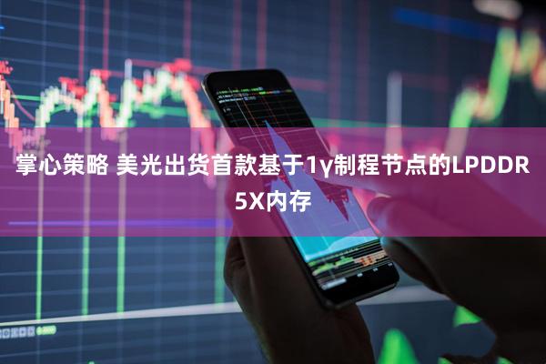 掌心策略 美光出货首款基于1γ制程节点的LPDDR5X内存
