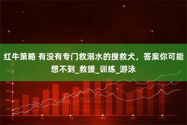 红牛策略 有没有专门救溺水的搜救犬，答案你可能想不到_救援_训练_游泳