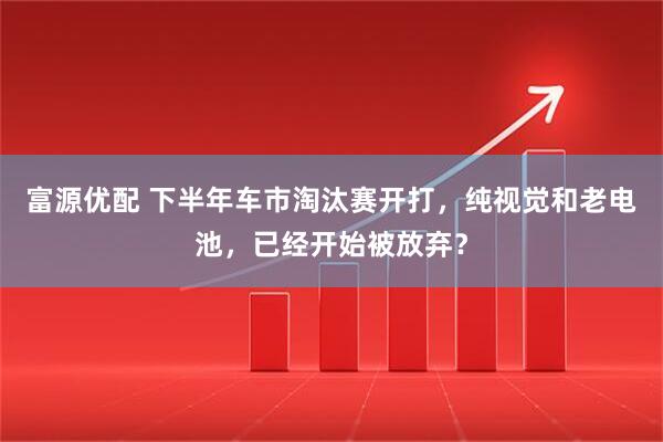 富源优配 下半年车市淘汰赛开打，纯视觉和老电池，已经开始被放弃？