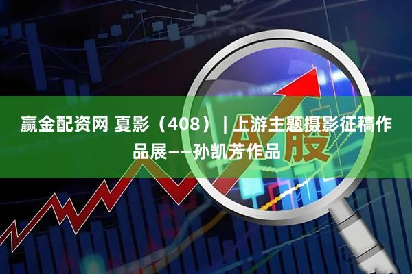 赢金配资网 夏影（408） | 上游主题摄影征稿作品展——孙凯芳作品