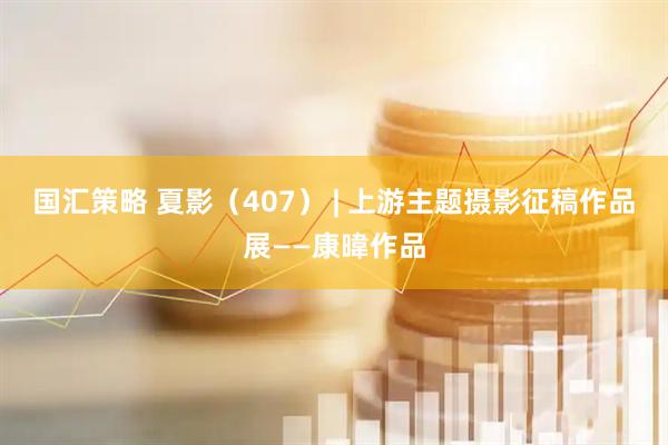 国汇策略 夏影（407） | 上游主题摄影征稿作品展——康暐作品