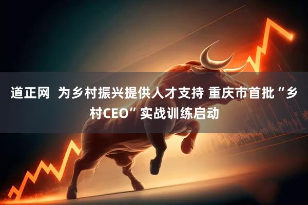 道正网  为乡村振兴提供人才支持 重庆市首批“乡村CEO”实战训练启动