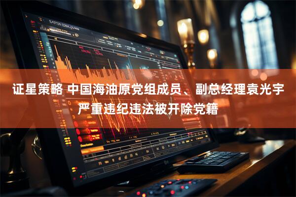 证星策略 中国海油原党组成员、副总经理袁光宇严重违纪违法被开除党籍