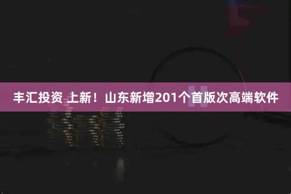 丰汇投资 上新！山东新增201个首版次高端软件