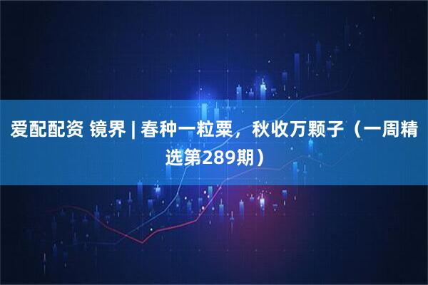 爱配配资 镜界 | 春种一粒粟，秋收万颗子（一周精选第289期）