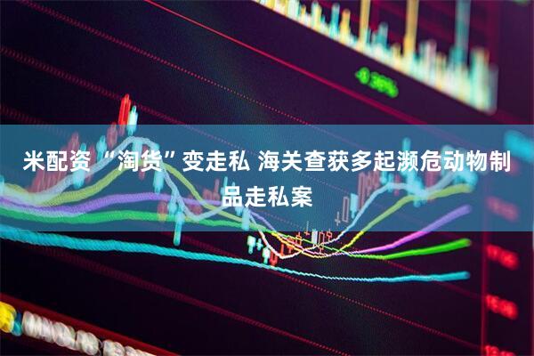 米配资 “淘货”变走私 海关查获多起濒危动物制品走私案