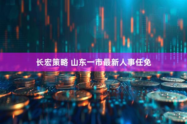 长宏策略 山东一市最新人事任免