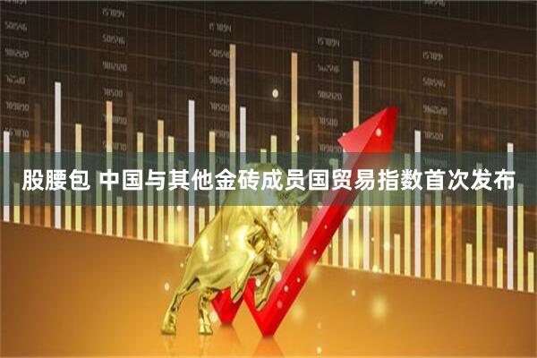 股腰包 中国与其他金砖成员国贸易指数首次发布