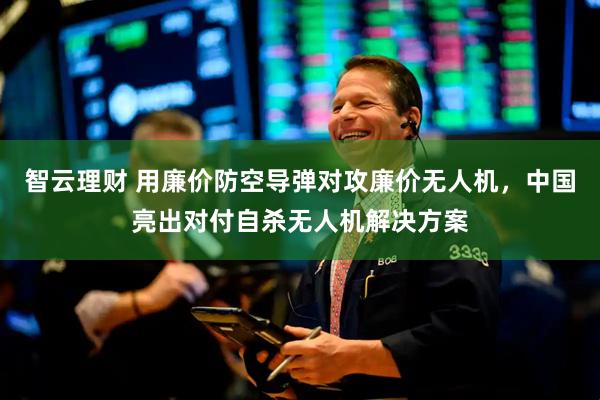 智云理财 用廉价防空导弹对攻廉价无人机，中国亮出对付自杀无人机解决方案