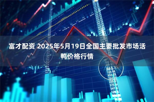 富才配资 2025年5月19日全国主要批发市场活鸭价格行情