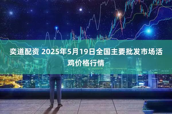 奕道配资 2025年5月19日全国主要批发市场活鸡价格行情