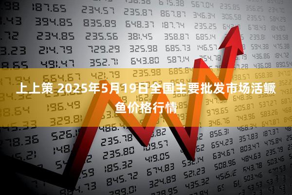 上上策 2025年5月19日全国主要批发市场活鳜鱼价格行情