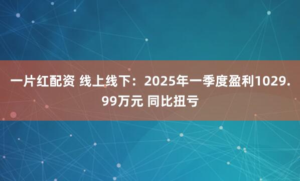 一片红配资 线上线下：2025年一季度盈利1029.99万元 同比扭亏