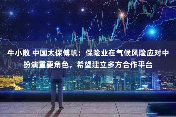 牛小散 中国太保傅帆：保险业在气候风险应对中扮演重要角色，希望建立多方合作平台