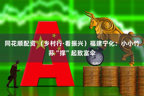 同花顺配资 （乡村行·看振兴）福建宁化：小小竹荪“撑”起致富伞