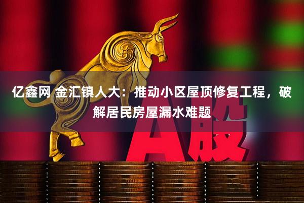 亿鑫网 金汇镇人大：推动小区屋顶修复工程，破解居民房屋漏水难题