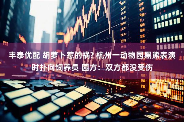 丰泰优配 胡萝卜惹的祸? 杭州一动物园黑熊表演时扑向饲养员 园方：双方都没受伤